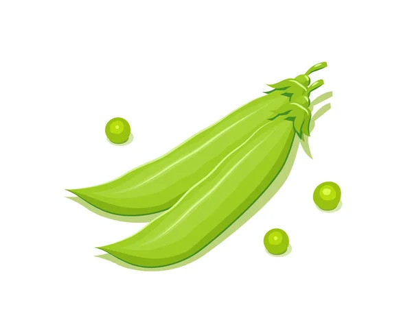 Vainas de guisantes verdes. — Vector de stock