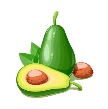 Avokado. Tropikal egzotik meyve.