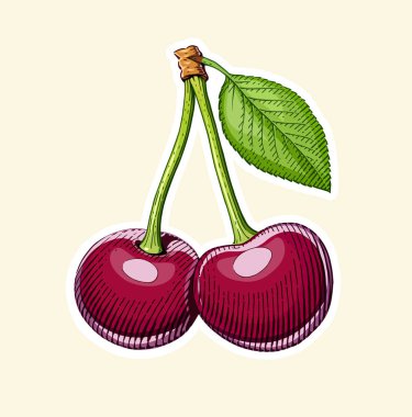 Kiraz yaprağı ile birkaç. Stil oyma içinde meyve