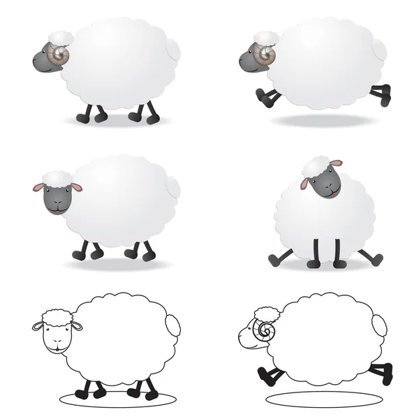 Personagem de desenhos animados de ovelhas —  Vetores de Stock