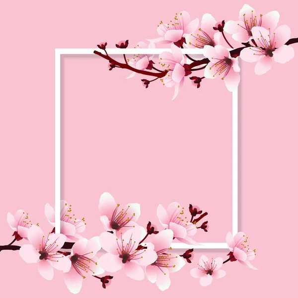 Flor de cerezo en marco blanco — Vector de stock