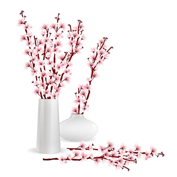 Cherry blossom branches in vase — Stock Vector