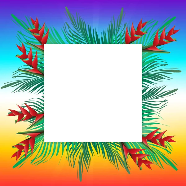 棕榈叶上框架 — 图库矢量图片