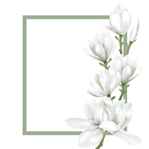 กรอบด้วยดอกไม้สีขาว — ภาพเวกเตอร์สต็อก