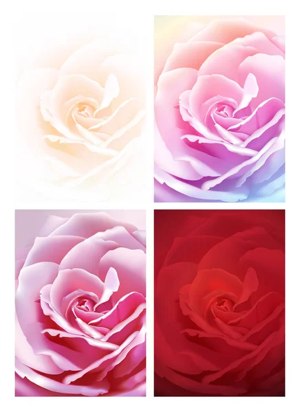 Conjunto Flores Color Rosa Realistas Primer Plano Fondos Imagen Ilustración — Vector de stock