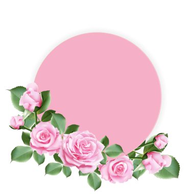 Güzel pembe güllerle süslenmiş ve beyaz arka planda yapraklarla süslenmiş metnin için pembe yuvarlak kağıt. Vektör illüstrasyonu.