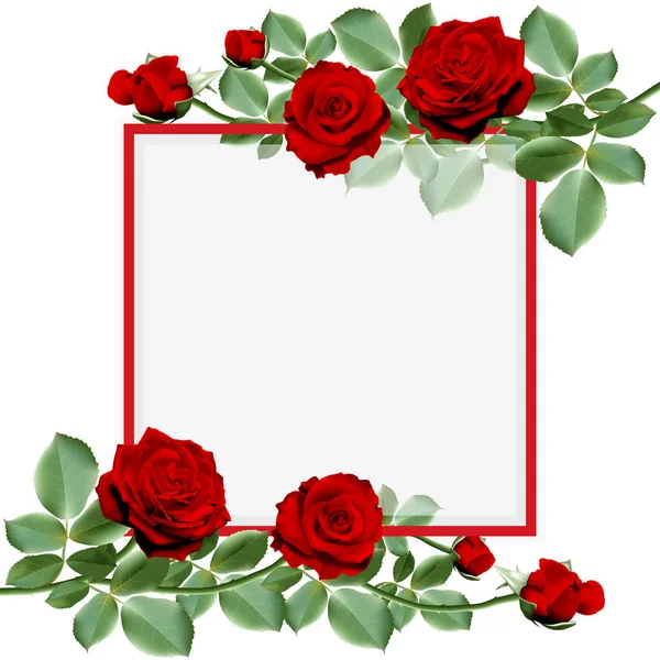 现实的红热玫瑰花 一束红热的玫瑰 叶子装饰在一个框架上 矢量说明 — 图库矢量图片