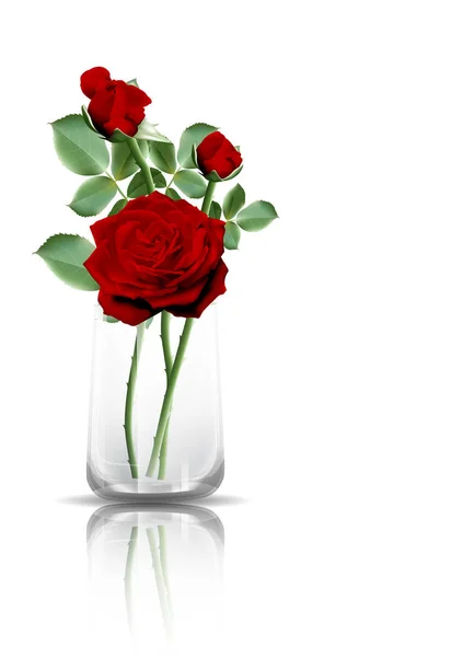 Red roses in clear glass — 스톡 벡터