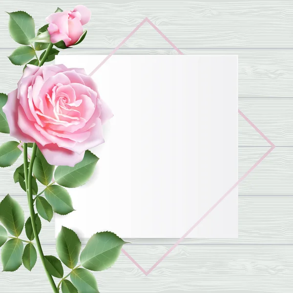 Quadro Decorado Com Flores Rosa Doce Rosa Com Folhas Fundo — Vetor de Stock