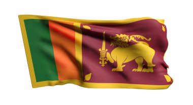 Demokratik Sosyalist Cumhuriyeti Sri Lanka bayrak sallayarak