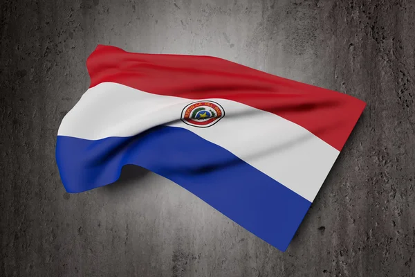 Mávání vlajkami republiky Paraguay — Stock fotografie