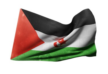 Sahra Arap Demokratik Cumhuriyeti bayrak sallayarak