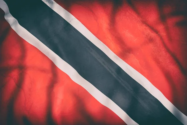 공화국의 트리니다드 토바고 깃발을 흔들며 — 스톡 사진
