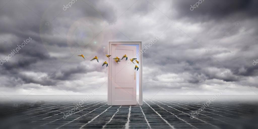 Birds flying out of door in skies — Stock Photo © erllre 133780258