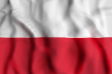 Polonya bayrak sallayarak