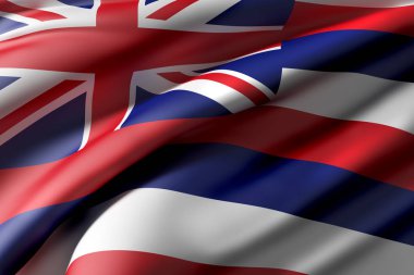 Hawaii eyalet bayrağı