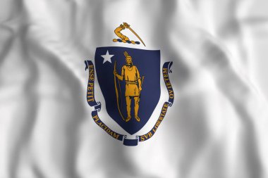 Massachusetts eyalet bayrağı