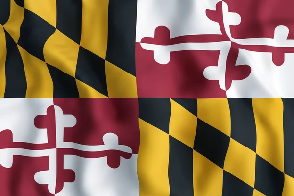 Drapeau de l'État du Maryland — Photo