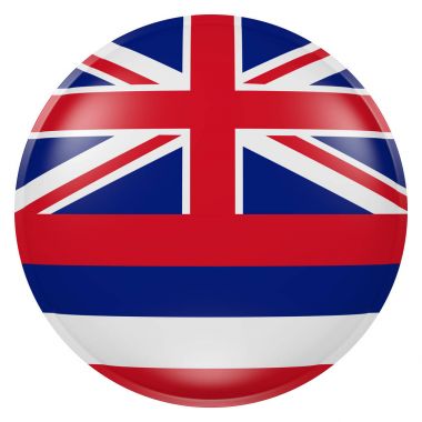 Hawaii eyalet bayrak düğmesini