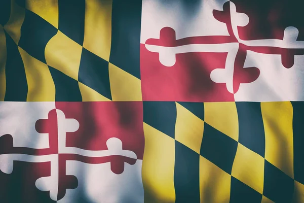 Drapeau de l'État du Maryland — Photo