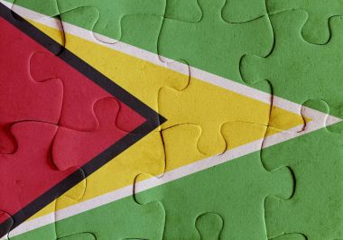 Guyana Cumhuriyeti bayrağı bulmaca