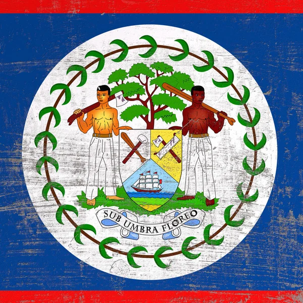 Çizik Belize bayrağı — Stok fotoğraf