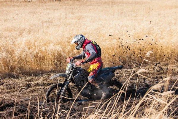 KHABAROVSK, RÚSSIA - OUTUBRO 23, 2016: Enduro ciclista em um fi Fotografias De Stock Royalty-Free