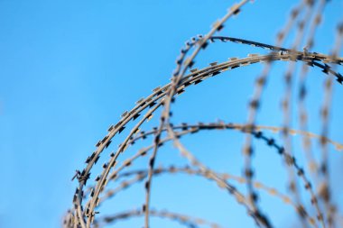 Hoarfrost üzerine Jiletli tel