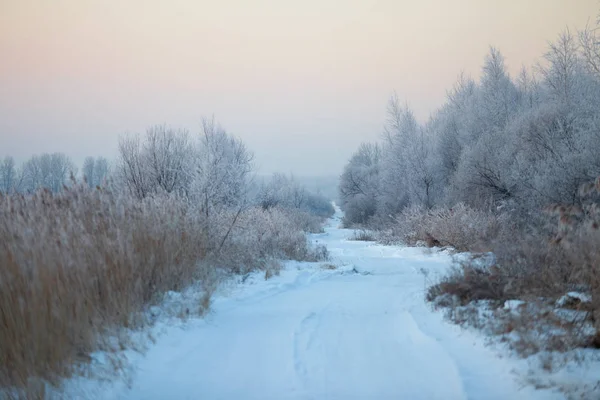 朝の冬の道 — ストック写真