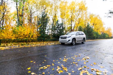 Habarovsk, Rusya - 14 Ekim 2017: Toyota Prado sonbahar ro üzerinde