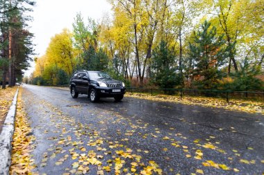 Habarovsk, Rusya - 14 Ekim 2017: Toyota Prado sonbahar ro üzerinde