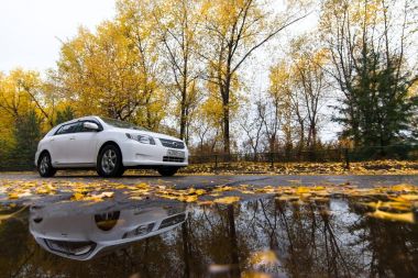 Habarovsk, Rusya - 14 Ekim 2017: Toyota Corolla meydancı üzerinde