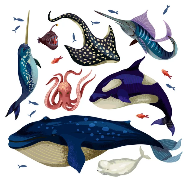 Морская жизнь, такая как кит, скат, косатка, осьминог и другие изолированы . — стоковый вектор