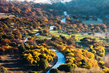 Yolun ormanın içinde yukarıda