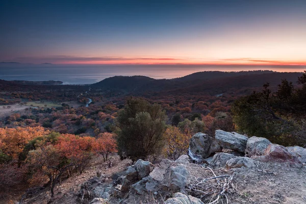 Por encima de un bosque atumnal al atardecer junto al mar — Foto de Stock