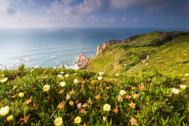 Cabo da Roca cape
