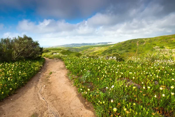 Cabo da Roca capa — Fotografia de Stock