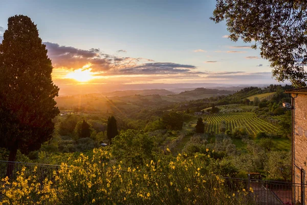 Luce magica della Toscana — Foto Stock