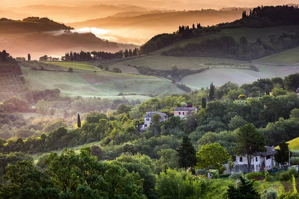Mattina nebbiosa in Toscana — Foto Stock