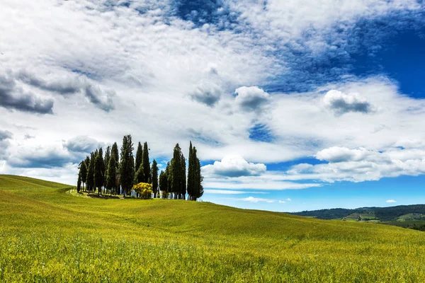 Cielo azzurro e nuvole bianche della Toscana — Foto Stock