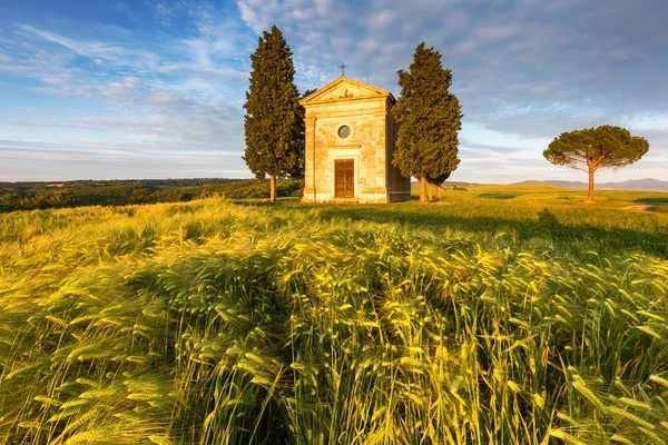 Chiesa Toscana nel campo del grano al tramonto — Foto Stock