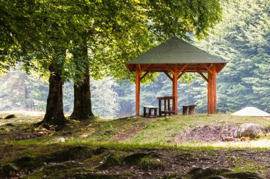 Bir nehir orman çevresinde piknik alanı