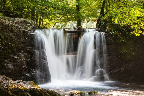 Picturesque waterfall in a forest — Stock Photo, Image