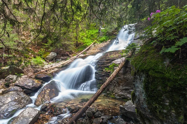Amazign waterfall in the forest — Stock Photo, Image