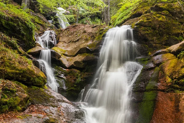 Arroyos de cascada de primavera en el bosque — Foto de Stock