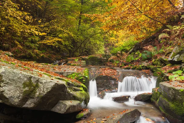 Picturesque scene of autumn forest with a stream — Stock Photo, Image
