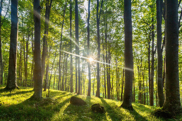 Глаз солнца
