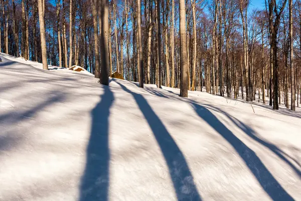 Dedos de sombra na neve — Fotografia de Stock