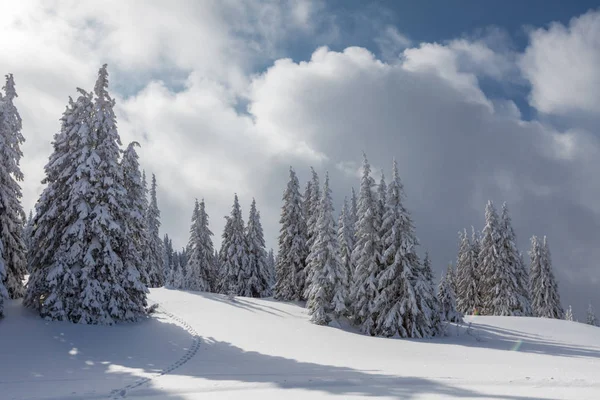 Parlak beyaz dağ güneşli gün