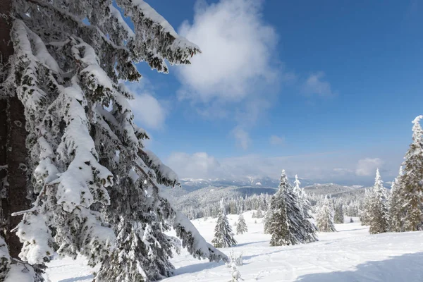 Parlak beyaz dağ güneşli gün